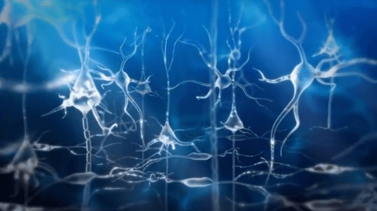 Neuronas junto a los tipos de ondas cerebrales