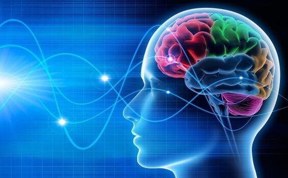 Ondas del cerebro de una persona