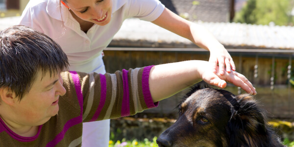 Perro con terapeuta y paciente