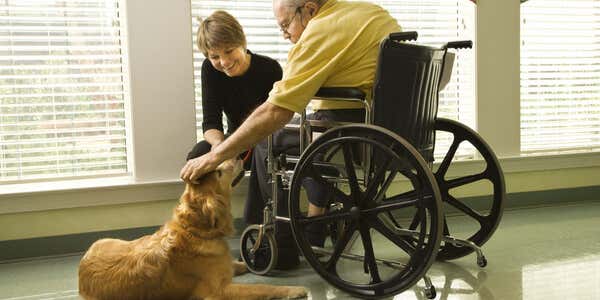 Persona en silla de ruedas haciendo terapia con perros