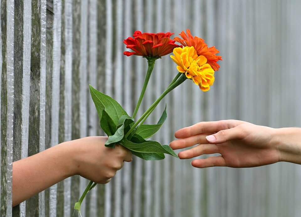 Persona regalanado flores