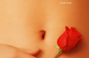 Portada de la película American beauty