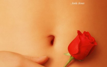 American Beauty, las apariencias engañan