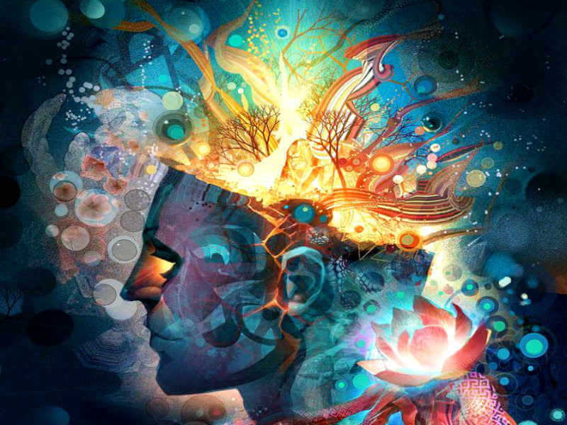 rostro que se abre en colores representando los tipos de mentes