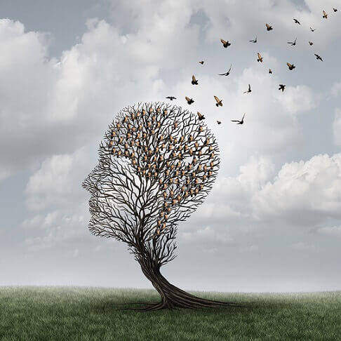 Árbol con forma de cabeza