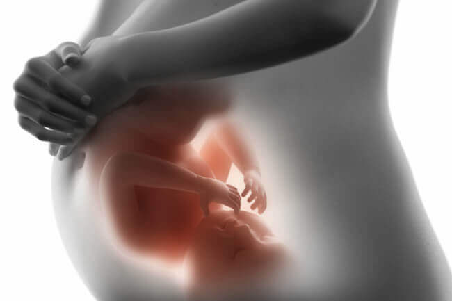 bebé en el útero representando la psicología perinatal