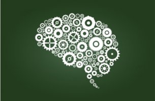 Cerebro dibujado en una pizarra