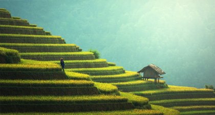 ¿Conoces la evolución cultural?