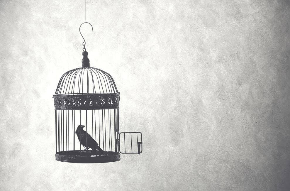 Jaula abierta con un pájaro en su interior
