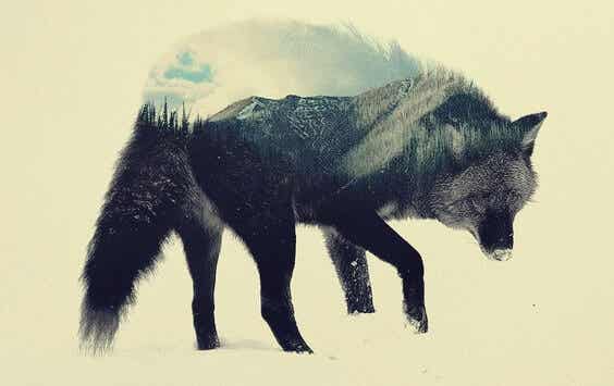 El lobo estepario, una obra para reflexionar
