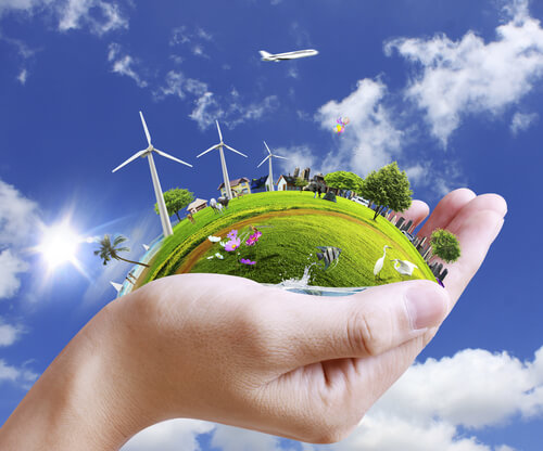 Mano sujetando parte de la naturaleza para representar la psicología ambiental