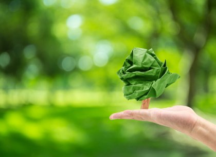¿Qué es la psicología ambiental?