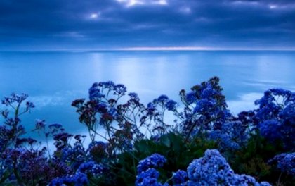 El color que reduce el estrés: la tonalidad de la calma