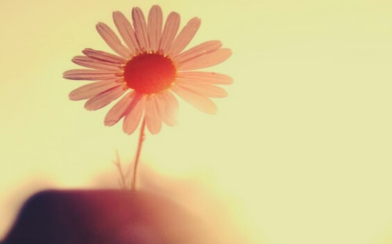 margarita representando las crisis personales