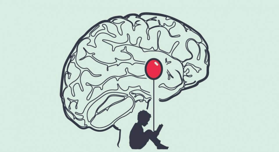 Amídala cerebral