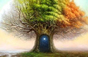 Árbol con una puerta en su tronco