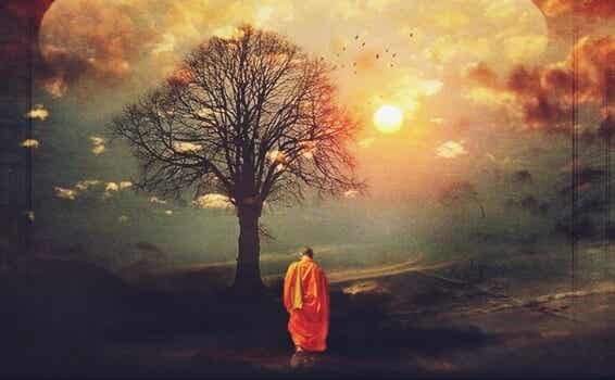 monje ante árbol pensando en acabar con el sufrimiento