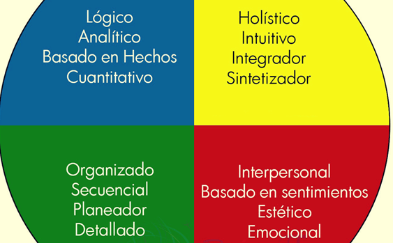 cuadros de información representando la dominancia cerebral