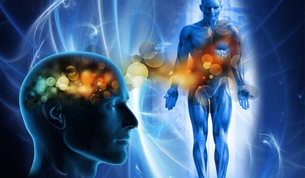 cuerpo humano para representar la terapia somática