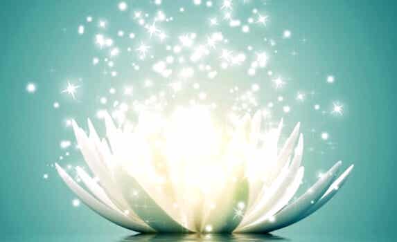 flor de loto representando las frases para recuperar la energía positiva