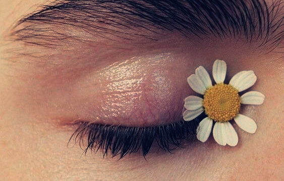 ojo con margarita simbolizando el arte de recuperarse de un abuso emocional