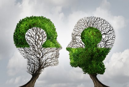 Las dos grandes leyes de la memoria