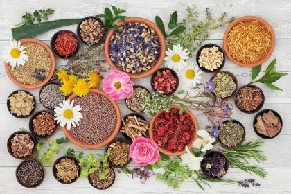 9 ansiolíticos naturales