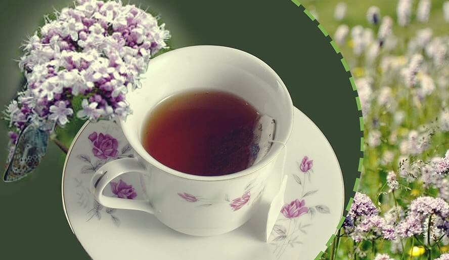 valeriana, un de los ansiolíticos naturales