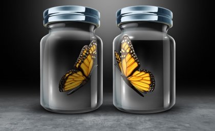 La reciprocidad asimétrica, un obstáculo en las relaciones humanas