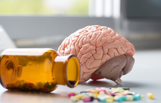 el cerebro y la vitamina D