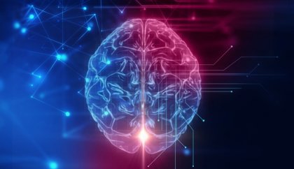 La corteza orbitofrontal, el asiento de nuestra conducta social