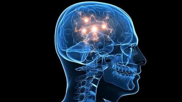 cerebro donde se ilumina los centros dopaminérgicos representando la atracción por las conductas de riesgo
