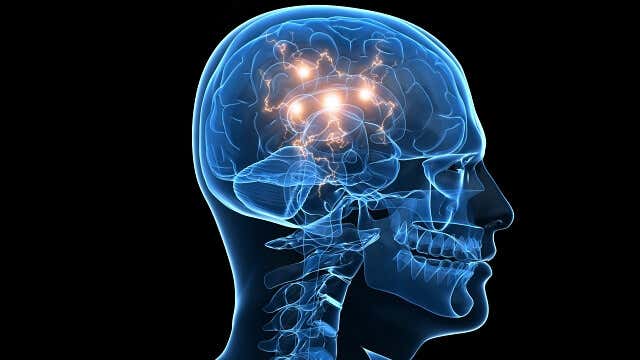 cerebro donde se ilumina los centros dopaminérgicos representando la atracción por las conductas de riesgo