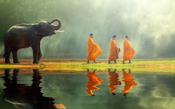 elefante siguiendo a monjes representando el acto de acabar con el sufrimiento