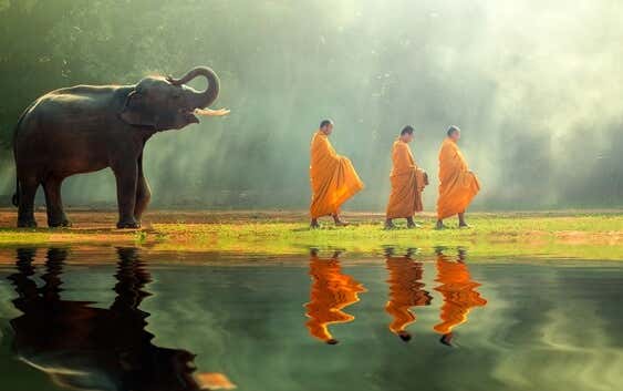 elefante siguiendo a monjes representando el acto de acabar con el sufrimiento