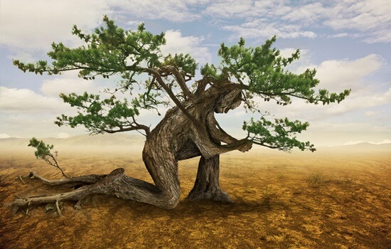 hombre árbol arrodillado pensando que todo es muy difícil