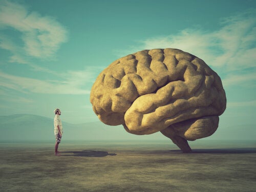Mann foran en hjerne