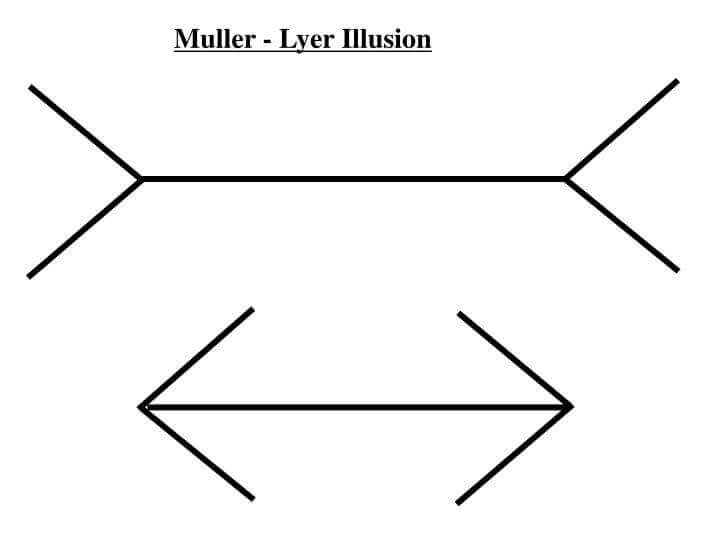 Ilusión de müller