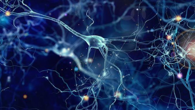 inhibidores selectivos de la recaptación de serotonina