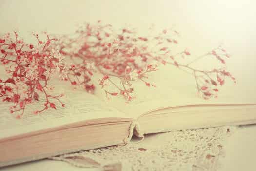 libro abierto con flores rojas representando las frases de Alejandra Pizarnik