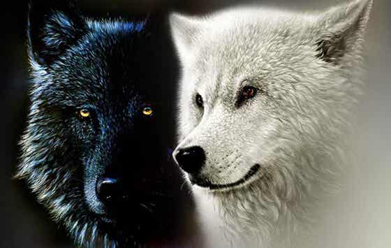 La leyenda cherokee de los dos lobos o nuestras fuerzas interiores