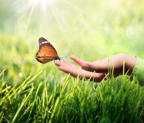 Mano con una mariposa