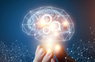 Mano sosteniendo un pequeño cerebro que contiene la corteza prefrontal
