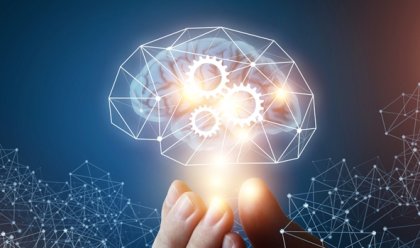 La teoría de la inteligencia maquiavélica