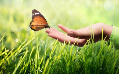 Comunicación kinestésica, ¿por qué es tan importante?