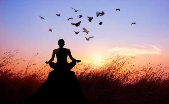 Los 8 caminos para acabar con el sufrimiento según el budismo