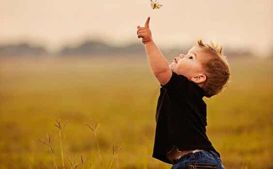 Niño tocando una mariposa