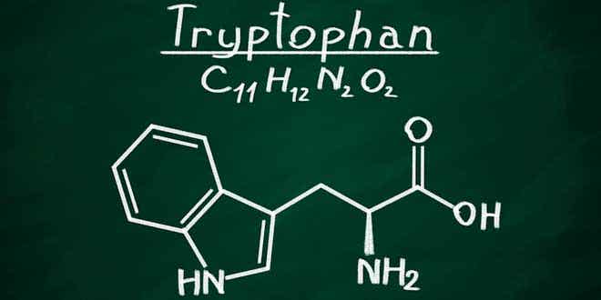 fórmula del triptófano y la serotonina