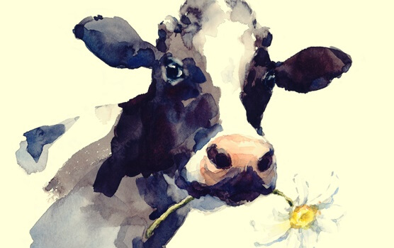 vaca-con-flor ilustración representando el el cuento de la vaquita