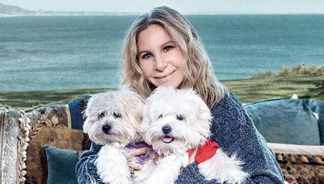 Barbra Streisand con sus perros representando el el duelo por nuestras mascotas